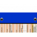 WhiteCoat Clipboard® - Blue Wildland Firefighter Edition